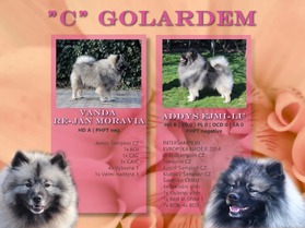 Ejmi-Lu Německý špic vlčí / Keeshond