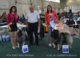 Ejmi-Lu vlčí špic / keeshond